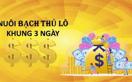 Cách nuôi lô bạch thủ khung 3 ngày chính xác 90%